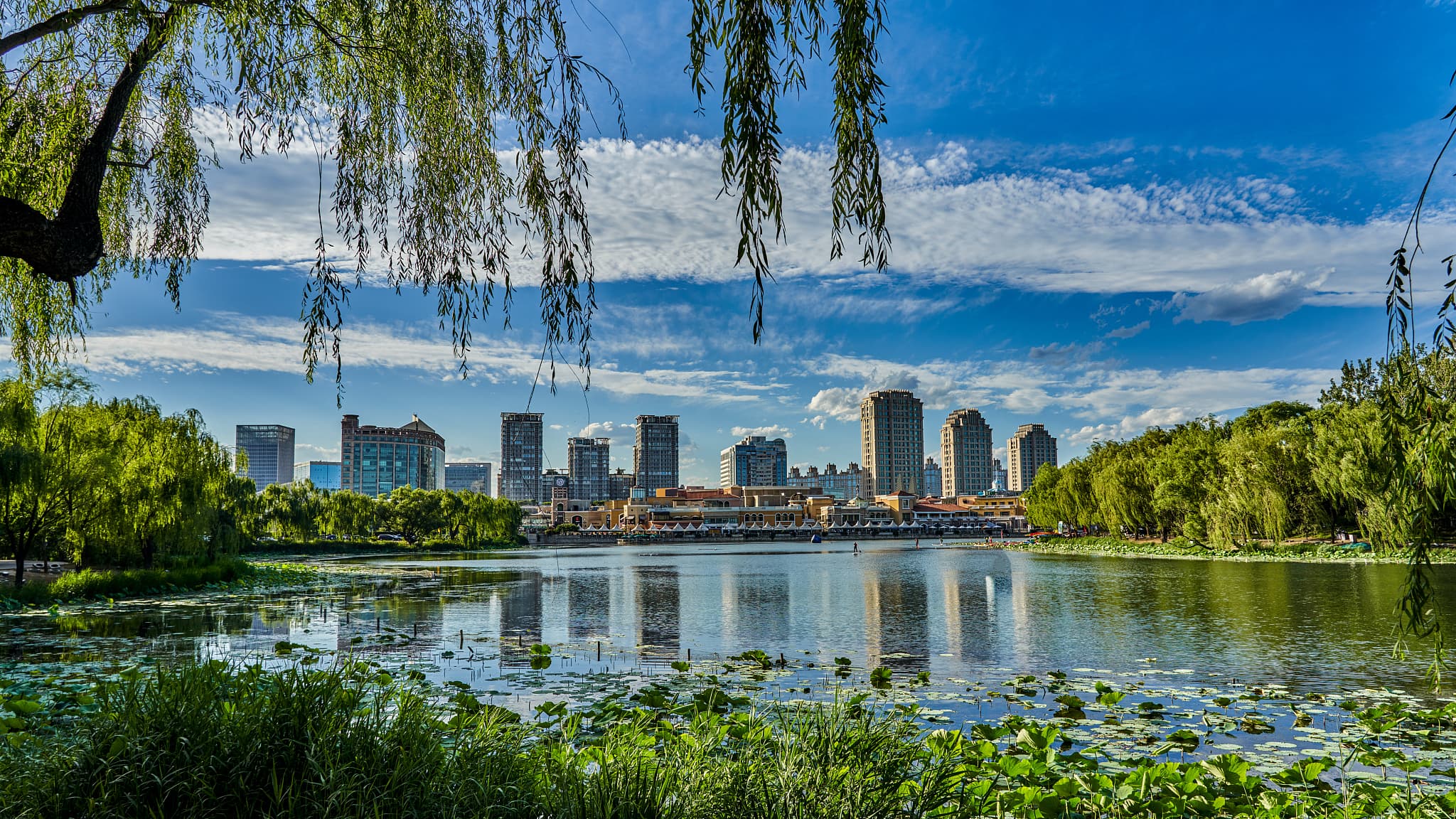 Chaoyang-Park
