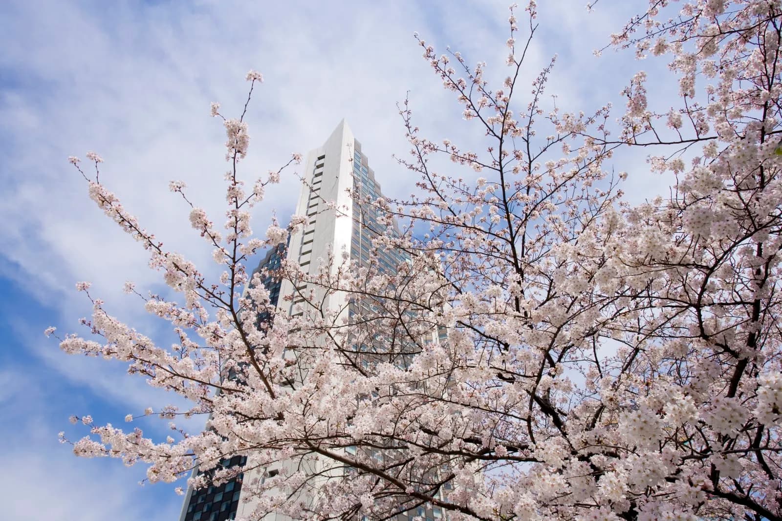 ANA InterContinental TOKYO by IHG